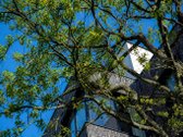 Sporto gatvėje, priešais įspūdingą Vilniaus - nuotraukos Nr. 15