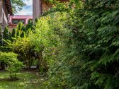 Individualus namas miesto centre – skamba - nuotraukos Nr. 11