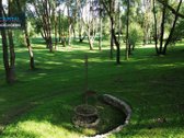 Išskirtinė Sodyba Ant Nevėžio Kranto – Vieta, - nuotraukos Nr. 11