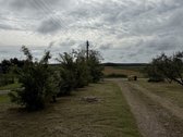 Parduodama Sodyba Vaizdingoje Vietoje – Tik - nuotraukos Nr. 22