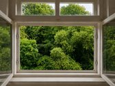 Vienas rečiausių sklypų Kaune, Žaliakalnyje – - nuotraukos Nr. 9