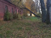 Sodyba su maždaug 4-ių hektarų sklype esančiu - nuotraukos Nr. 3