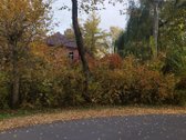 Sodyba su maždaug 4-ių hektarų sklype esančiu - nuotraukos Nr. 5