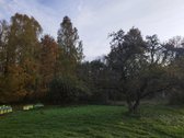 Sodyba su maždaug 4-ių hektarų sklype esančiu - nuotraukos Nr. 9