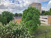 Vilkpėdėje nuomojamas jaukus 1 kambario butas - nuotraukos Nr. 9