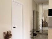 Nuomojamas Visiškai Naujas Butas Su Didele - nuotraukos Nr. 11