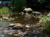 Išskirtinė Sodyba Gamtos Apsuptyje – 16 Ha - nuotraukos Nr. 49