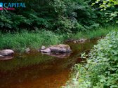Išskirtinė Sodyba Gamtos Apsuptyje – 16 Ha - nuotraukos Nr. 50