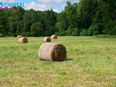 Išskirtinė Sodyba Gamtos Apsuptyje – 16 Ha - nuotraukos Nr. 48