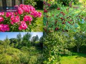 Parduodamas 3 K. Sodo Namas Salininkuose Su 7 - nuotraukos Nr. 21