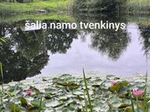1 aukšte parduodamas erdvus 2 kambarių butas - nuotraukos Nr. 11