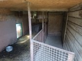 Parduodama sodyba Kaišiadorių r., Kruonio sen - nuotraukos Nr. 18