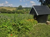 Parduodame miškų apsuptą sodybą Varėnos - nuotraukos Nr. 31