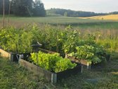Parduodame miškų apsuptą sodybą Varėnos - nuotraukos Nr. 34