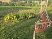 Parduodame miškų apsuptą sodybą Varėnos - nuotraukos Nr. 35