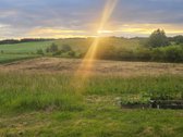 Parduodame miškų apsuptą sodybą Varėnos - nuotraukos Nr. 38