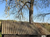 Parduodame miškų apsuptą sodybą Varėnos - nuotraukos Nr. 36