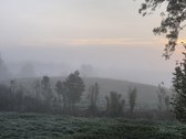Parduodame miškų apsuptą sodybą Varėnos - nuotraukos Nr. 49