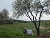 Parduodame miškų apsuptą sodybą Varėnos - nuotraukos Nr. 45