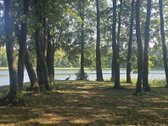 Parduodame miškų apsuptą sodybą Varėnos - nuotraukos Nr. 42