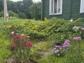 Parduodame miškų apsuptą sodybą Varėnos - nuotraukos Nr. 44