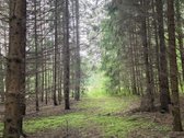 Parduodame miškų apsuptą sodybą Varėnos - nuotraukos Nr. 41