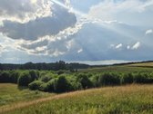 Parduodame miškų apsuptą sodybą Varėnos - nuotraukos Nr. 47