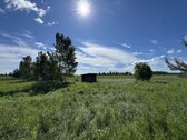 Parduodamas namas, ne pilnai užbaigta apdaila - nuotraukos Nr. 16