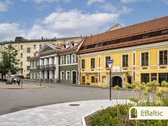 Išskirtinis 3 kambarių butas Vilniaus centre - nuotraukos Nr. 30