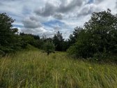 Parduodame 30 a sklypą labai gražioje vietoje - nuotraukos Nr. 3