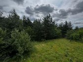 Parduodame 30 a sklypą labai gražioje vietoje - nuotraukos Nr. 2