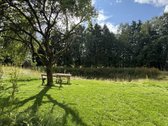 Kartais gyvenime atsiranda vietų, kuriose - nuotraukos Nr. 17