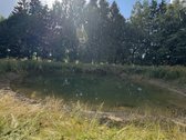 Kartais gyvenime atsiranda vietų, kuriose - nuotraukos Nr. 18