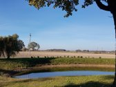 Parduodama sodyba vienkiemyje su 2.7 ha žemės - nuotraukos Nr. 2