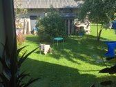 Atokiau nuo pagrindinių gatvių, erdvesnio - nuotraukos Nr. 17