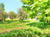 Erdvus sklypas Vilniaus mieste – retas ir - nuotraukos Nr. 5