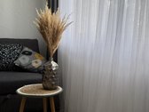 Nuo rugpjūčio mėn. nuomojamas 1 kambario - nuotraukos Nr. 8