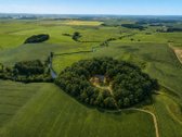 Parduodamas 1.2099 ha buvusi sena sodyba - nuotraukos Nr. 4