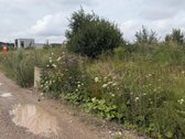 Parduodamas namų valdos 4.26a žemės sklypas - nuotraukos Nr. 2