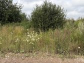 Parduodamas namų valdos 4.26a žemės sklypas - nuotraukos Nr. 4