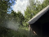 Ignalinos Rajone Parduodamas 4,46 Ha Sklypas - nuotraukos Nr. 10