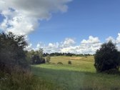 Ignalinos Rajone Parduodamas 4,46 Ha Sklypas - nuotraukos Nr. 11