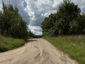 Ignalinos Rajone Parduodamas 4,46 Ha Sklypas - nuotraukos Nr. 12