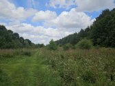 Parduodamas Unikalus 4,3 Ha Žemės Ūkio - nuotraukos Nr. 4
