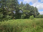 Parduodamas Unikalus 4,3 Ha Žemės Ūkio - nuotraukos Nr. 11