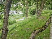 Parduodamas Unikalus 4,3 Ha Žemės Ūkio - nuotraukos Nr. 3