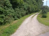 Parduodama sodyba Žilpamūšio kaime Pasvalio - nuotraukos Nr. 4