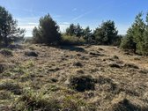 Parduodamas išskirtinis namų valdos sklypas - nuotraukos Nr. 6