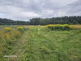 Parduodami 16 vnt. namų valdos žemės sklypai - nuotraukos Nr. 12