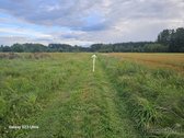 Parduodami 16 vnt. namų valdos žemės sklypai - nuotraukos Nr. 11